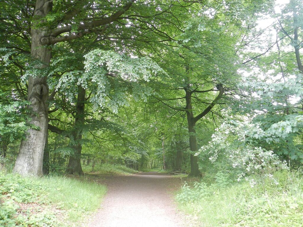 Wandelbootcamp in Bergen aan Zee