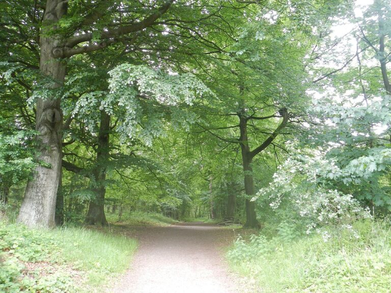 Wandelbootcamp — Natuur in Bergen aan Zee